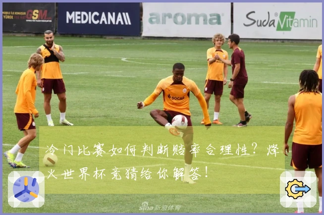 冷门比赛如何判断赔率合理性?烽火世界杯竞猜给你解答!